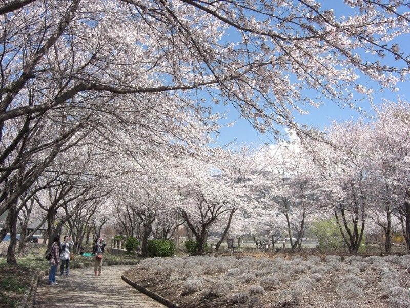 富岳庄民宿　 富士河口湖 外观 照片