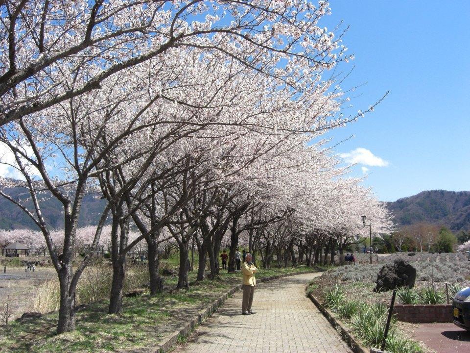 富岳庄民宿　 富士河口湖 外观 照片